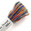 Sashiko Variegated Thread 100m Mix