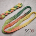 Sashiko Thread - SS09 - 100m - Hand Dyed Variegated